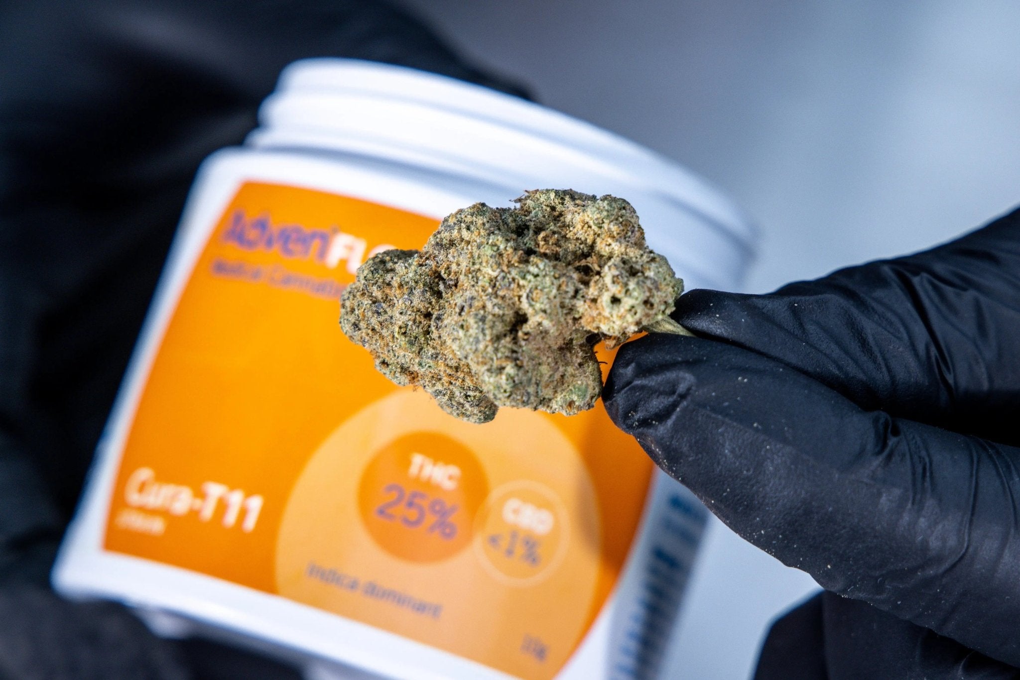 Cura T11 LA Kush Cake Medical Cannabis Review UK