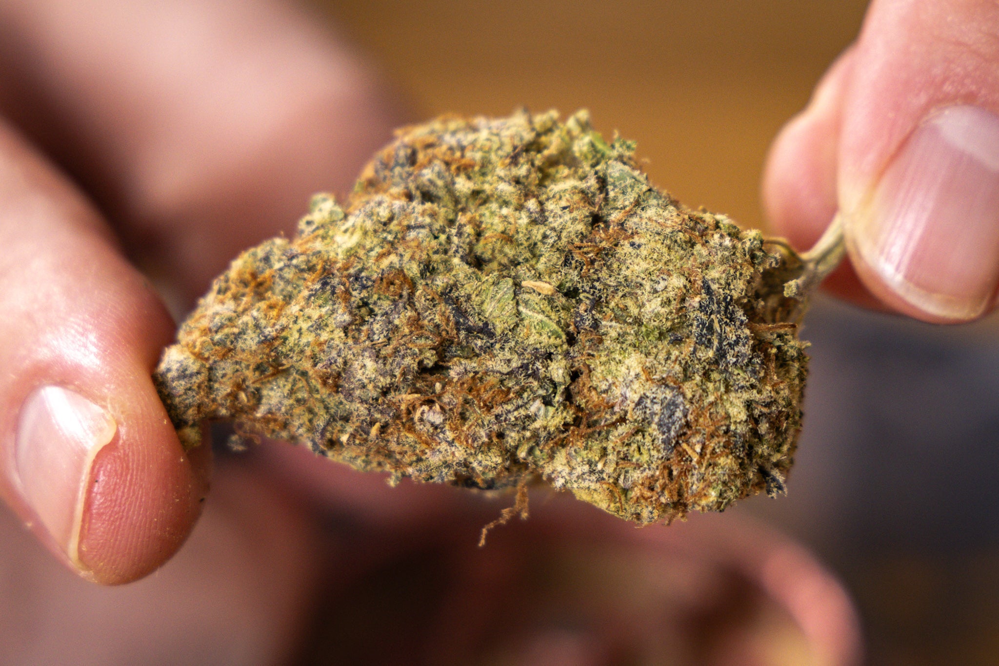 EastCann Jelly Ranchers Medical Cannabis Strain Review UK