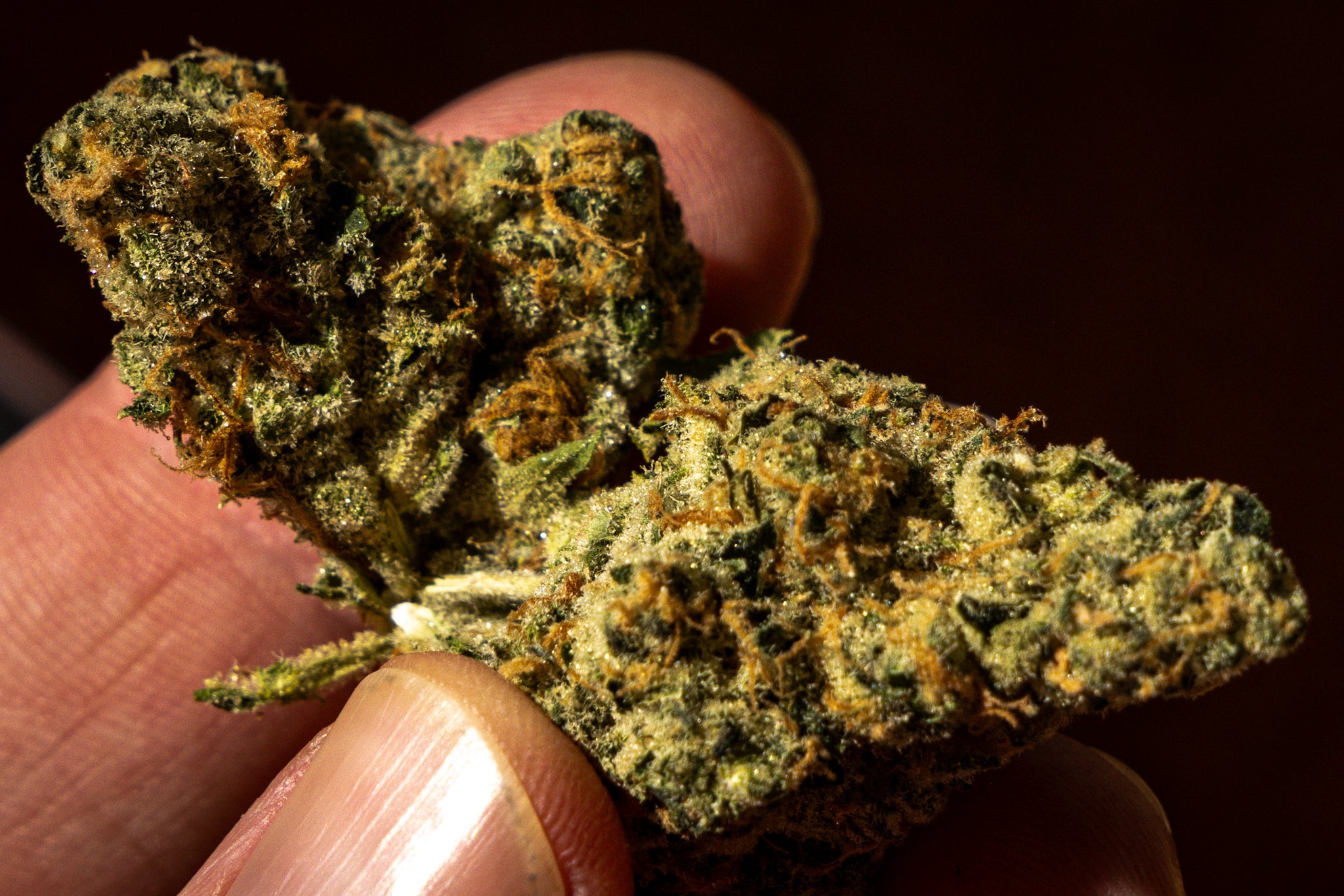 why arent there more balanced strains of medical cannabis uk