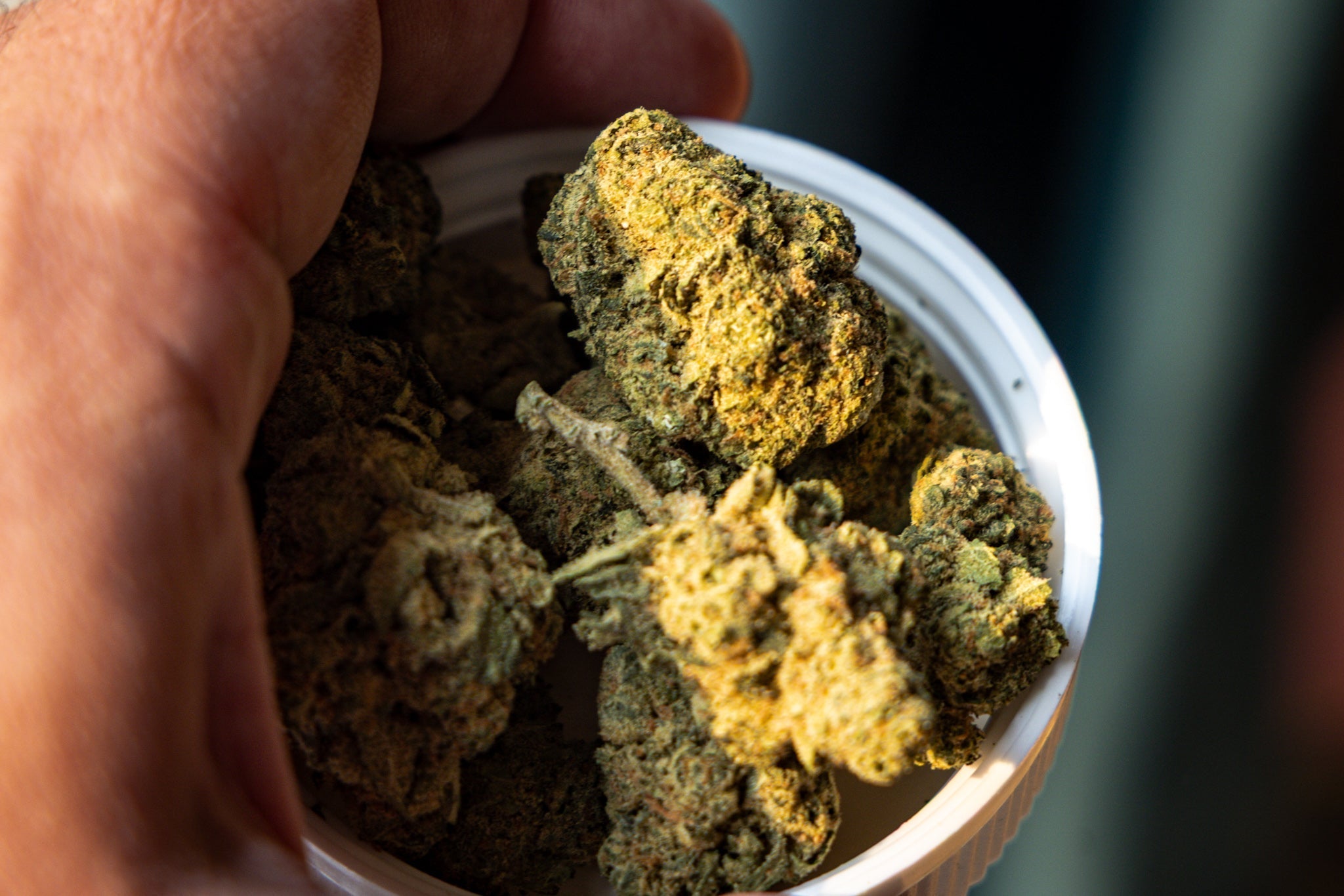 Peace Naturals Atomic Sour Grapefruit 30% Medical Cannabis Strain Review UK