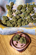 Cura-PFZ Permanent Fumez 23% UK Medical Cannabis Strain Review