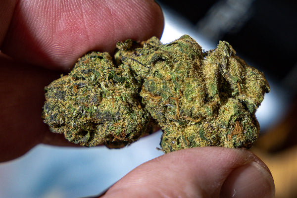 What Patients Should Know About Centreville Cannabis Cards