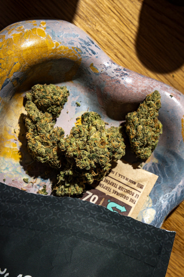 Medical cannabis in the UK separating street culture from clinical reality 