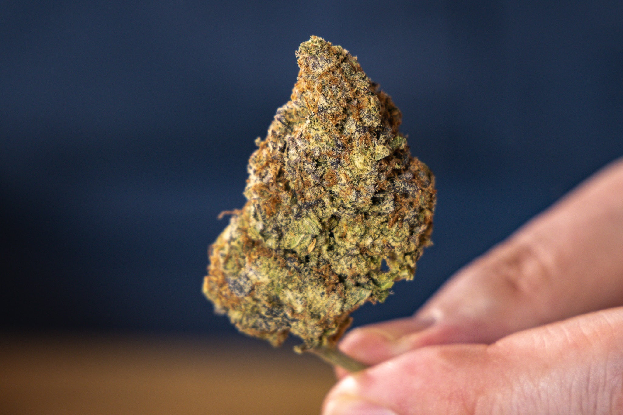 medical cannabis terms explained 