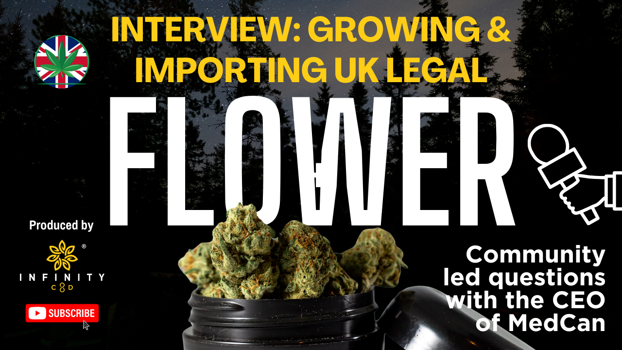 medcan interview with medical cannabis patient questions