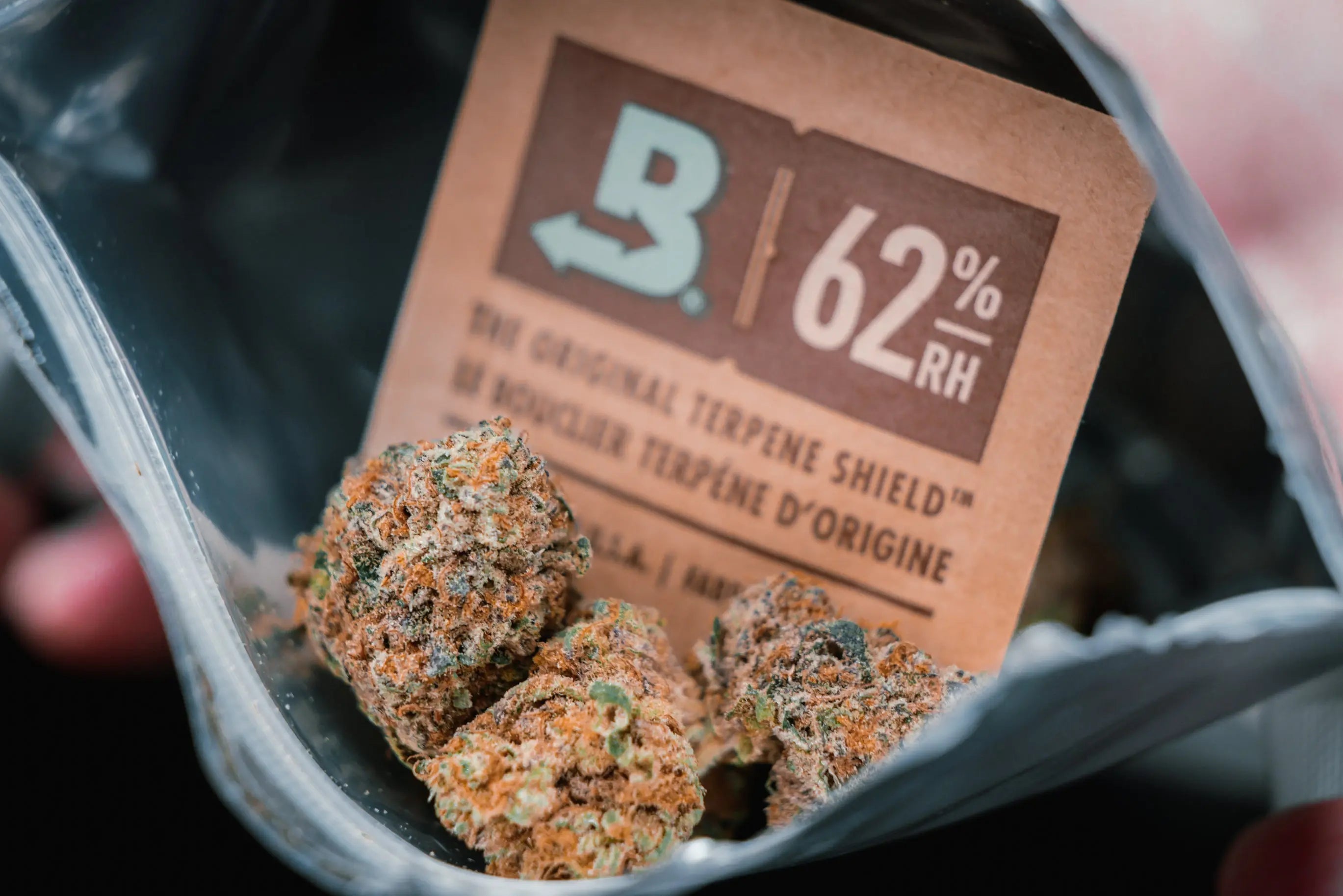 10g pot size boveda packs for medical cannabis flower UK