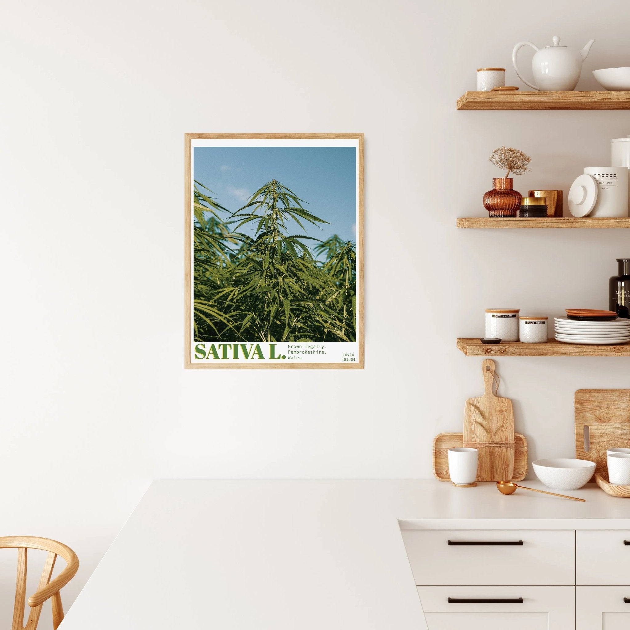 Cannabis photography prints uk 