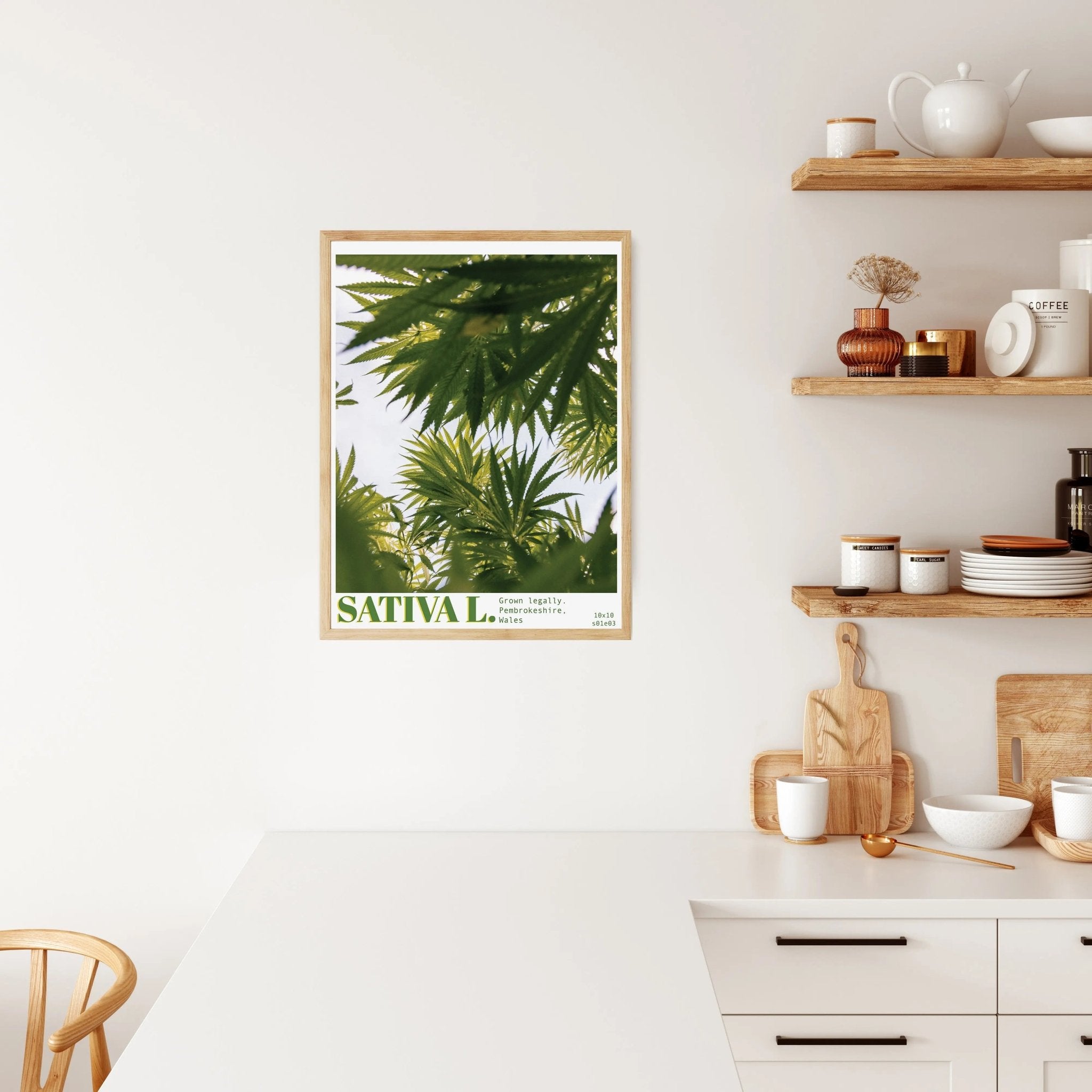 Sativa L No.3 Limited Print